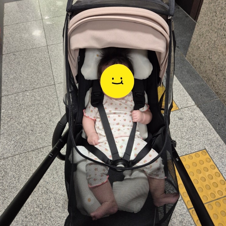  절충형 유모차 추천 부가부 드래곤플라이 10개월 사용 후기 부가부 페어 구매 꿀팁