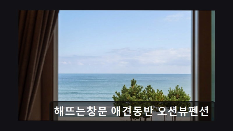사진 4