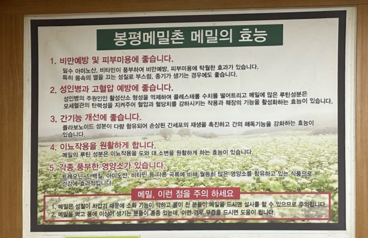 메밀촌 사진 4