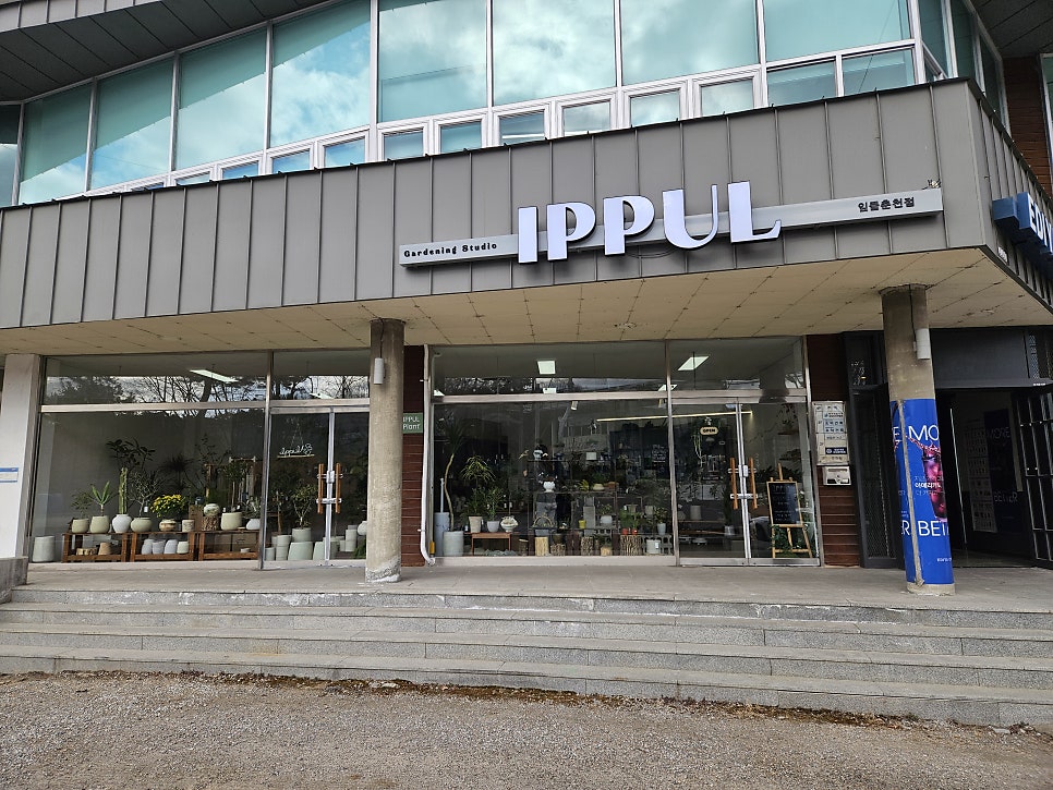 이디야커피 춘천점 사진 2