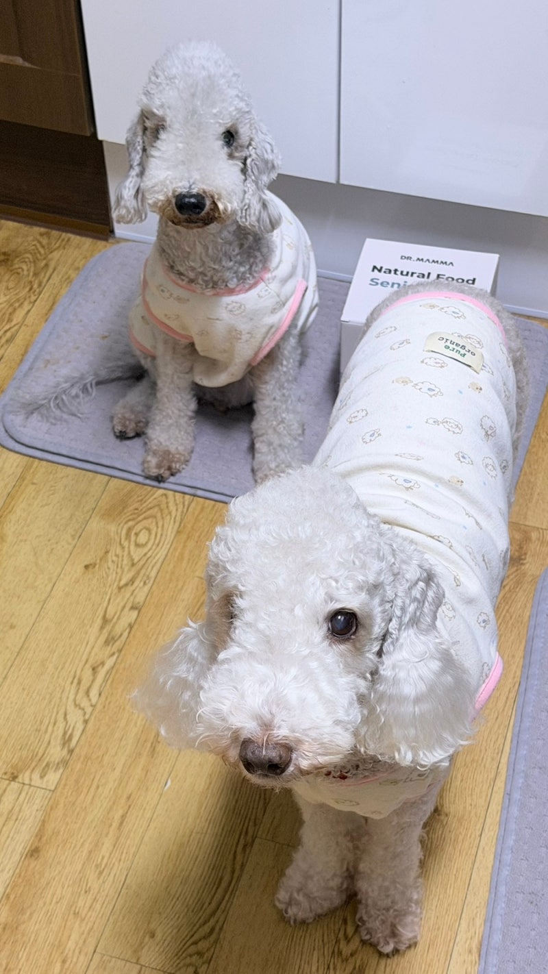 사진 6