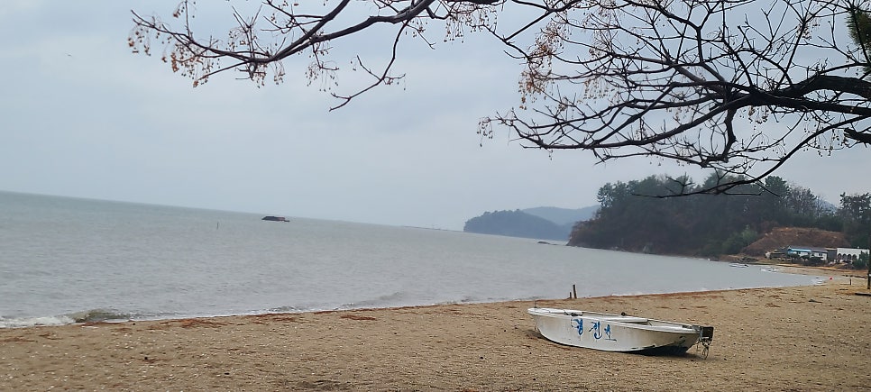 명교해수욕장 사진 4