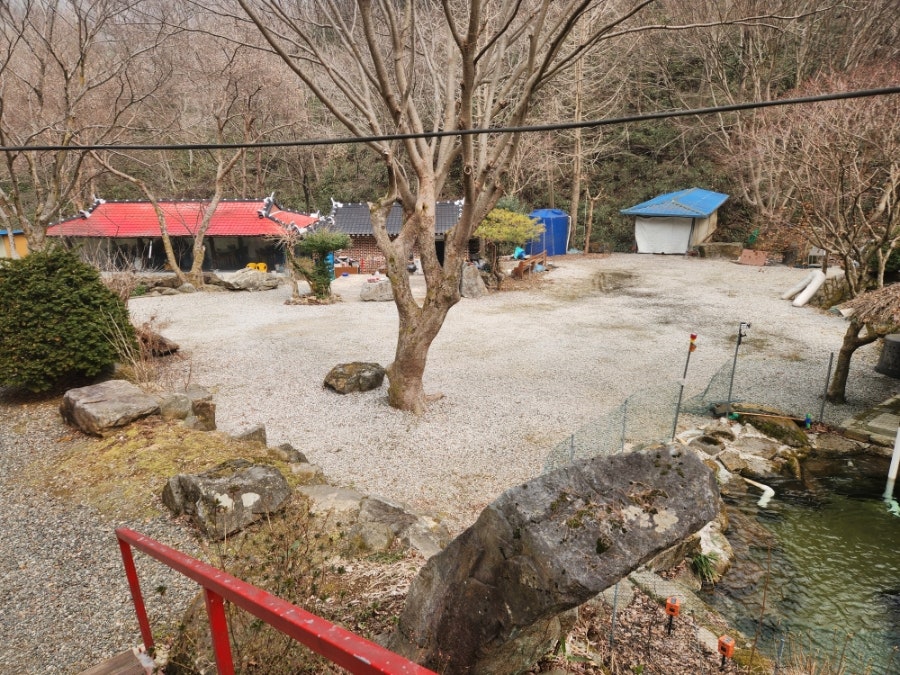 명품 송어 사진 5