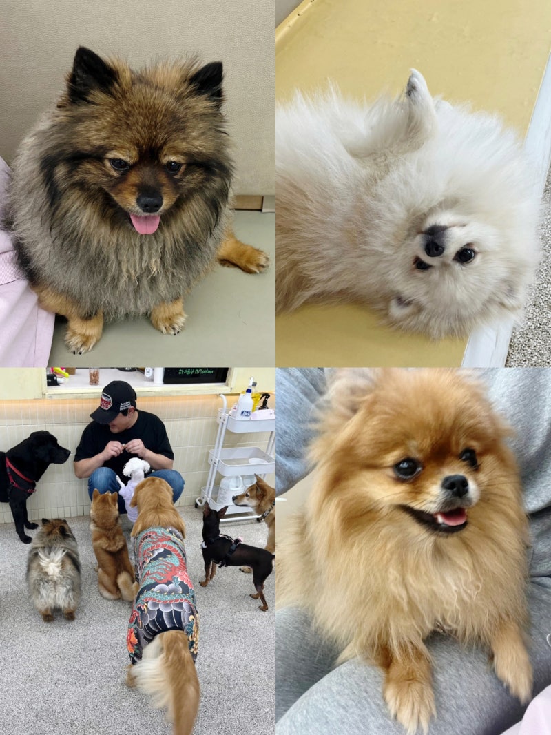 사진 6