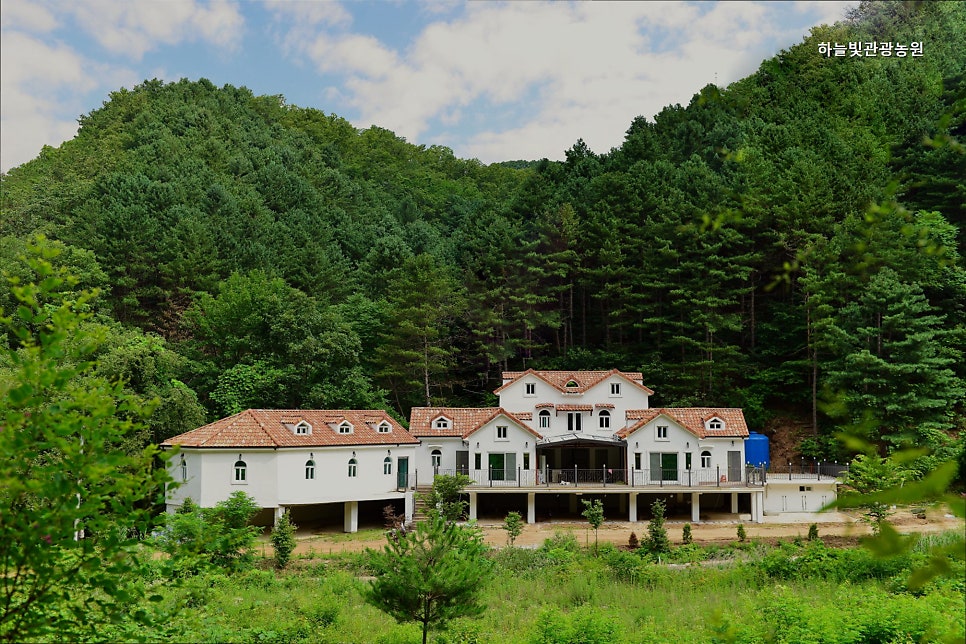 하늘빛관광농원 사진 5
