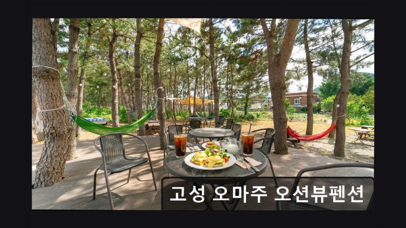 사진 4
