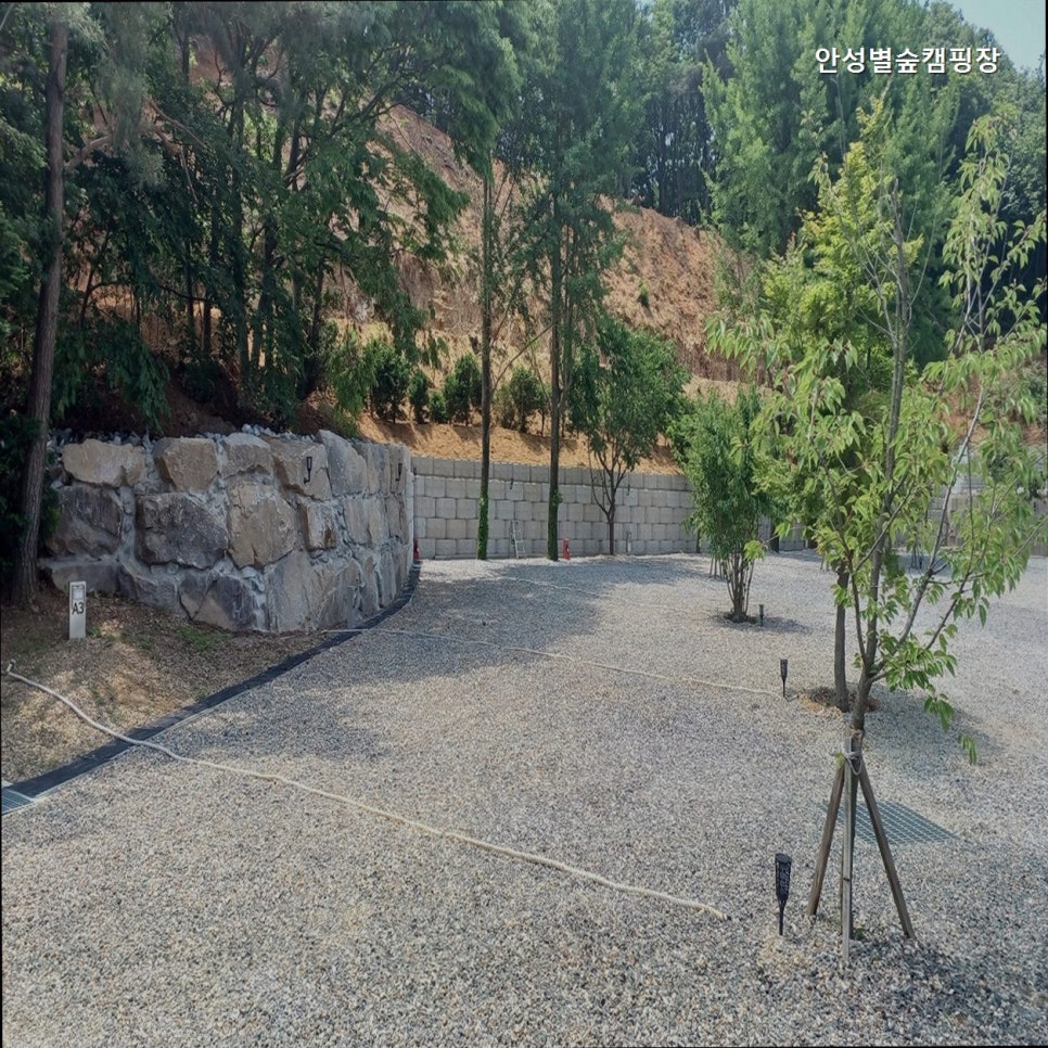 안성별숲캠핑장 사진 4
