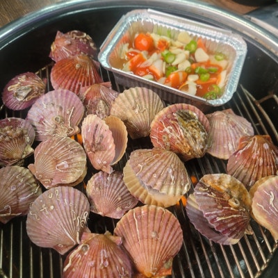 세종 조치원 바다이야기 방문 후기 홍가리비 무한리필 실제 느낌 정리