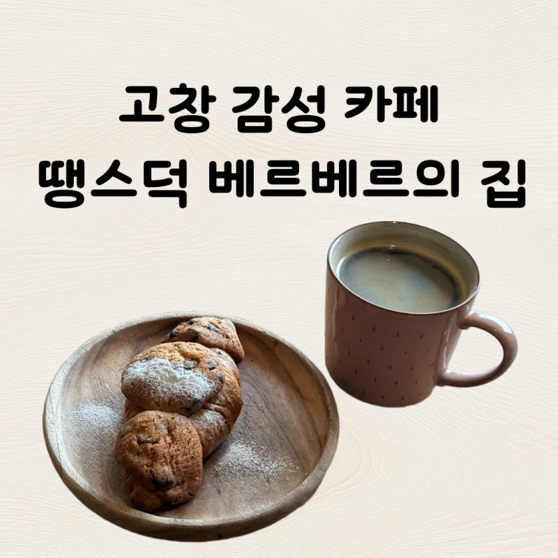 땡스덕 베르베르의집