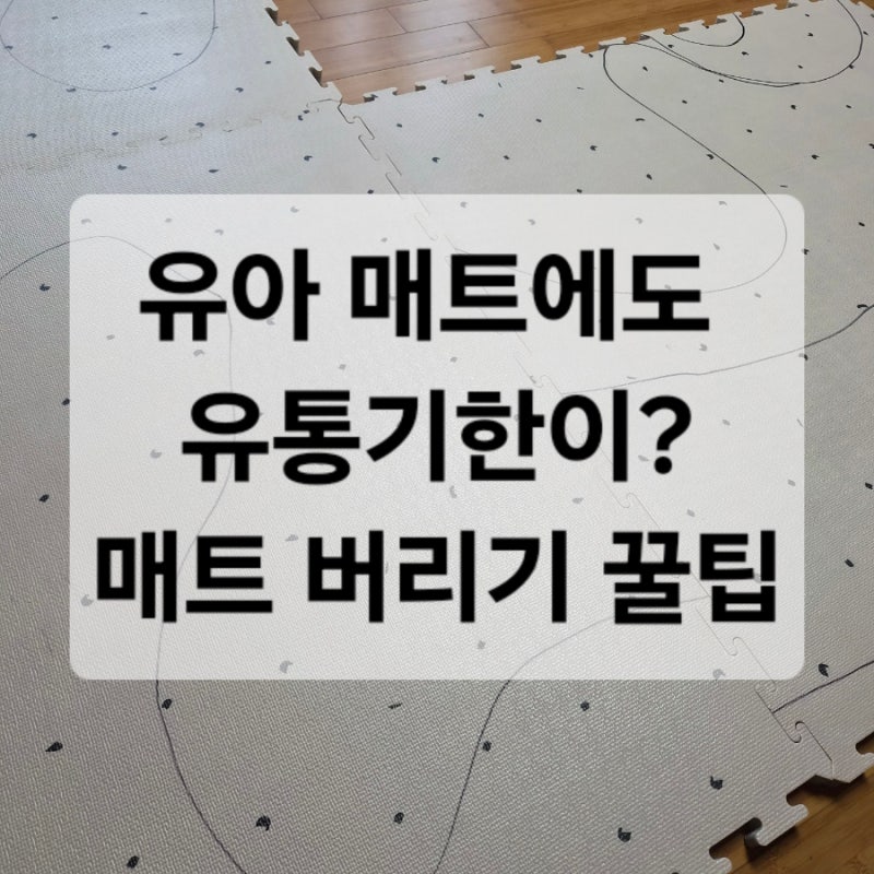 유아매트 폐기 비용 장당 8천원? 수거 비용 아끼는 현실 꿀팁