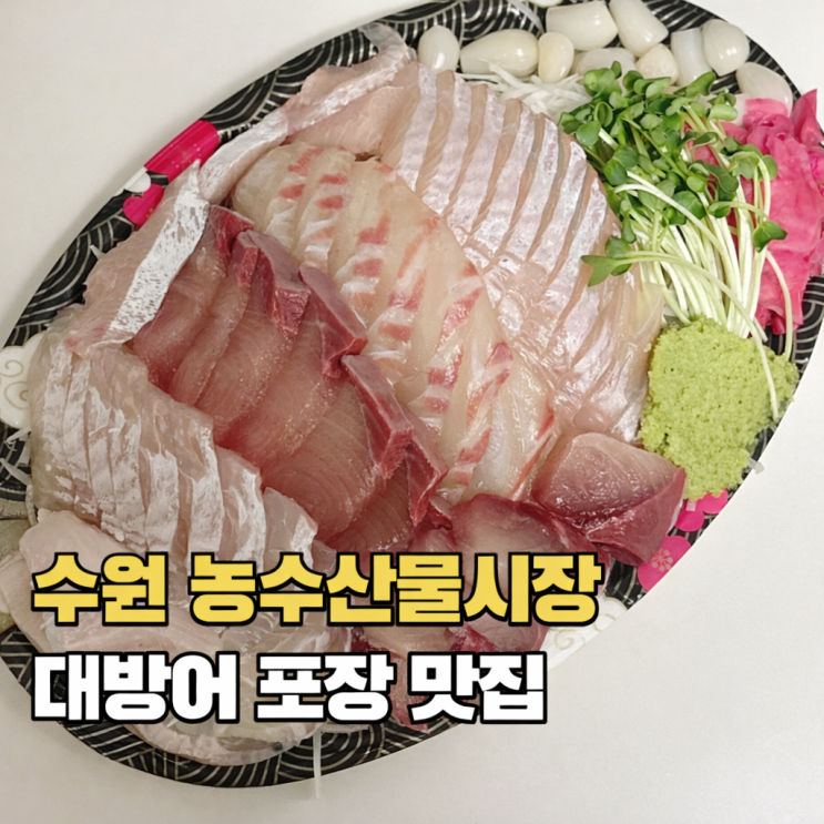  수원 농수산물시장 대방어 맛집 희망수산 모듬회 포장 후기