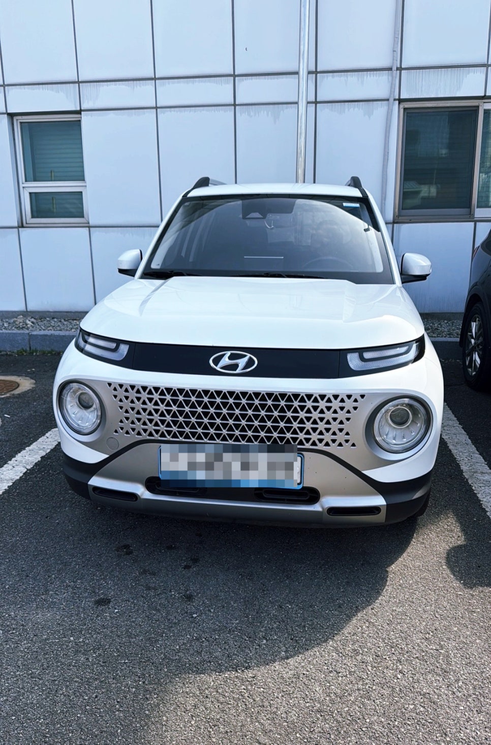 배진강 사진 4