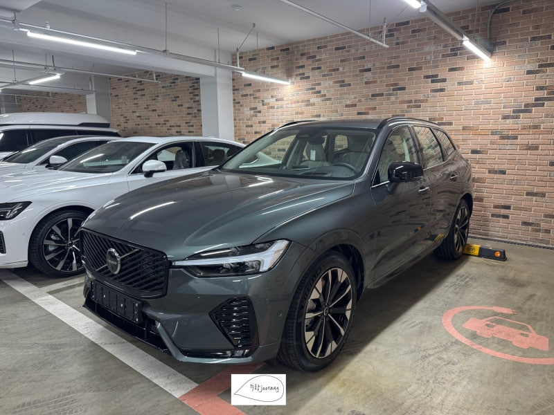 볼보XC60 B5 DARK 전 색상 실사 ( 멀버리레드,데님블루제외)