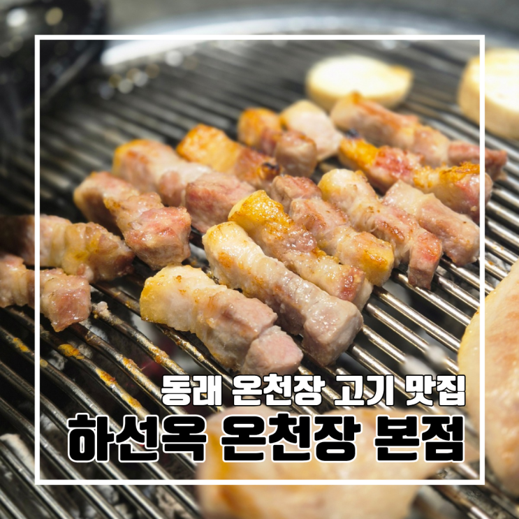  부산 동래 고기 맛집 모임 하기 좋은 프라이빗 룸 : 하선옥 온천장 본점 l 주차