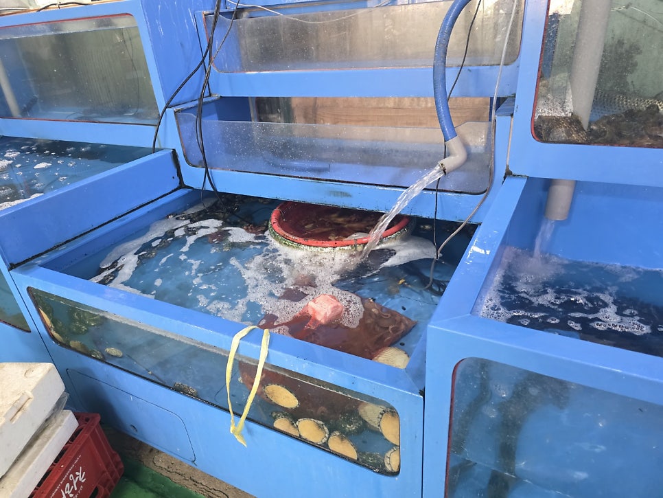 대교회수산 사진 2