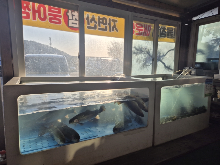 호수정 사진 6