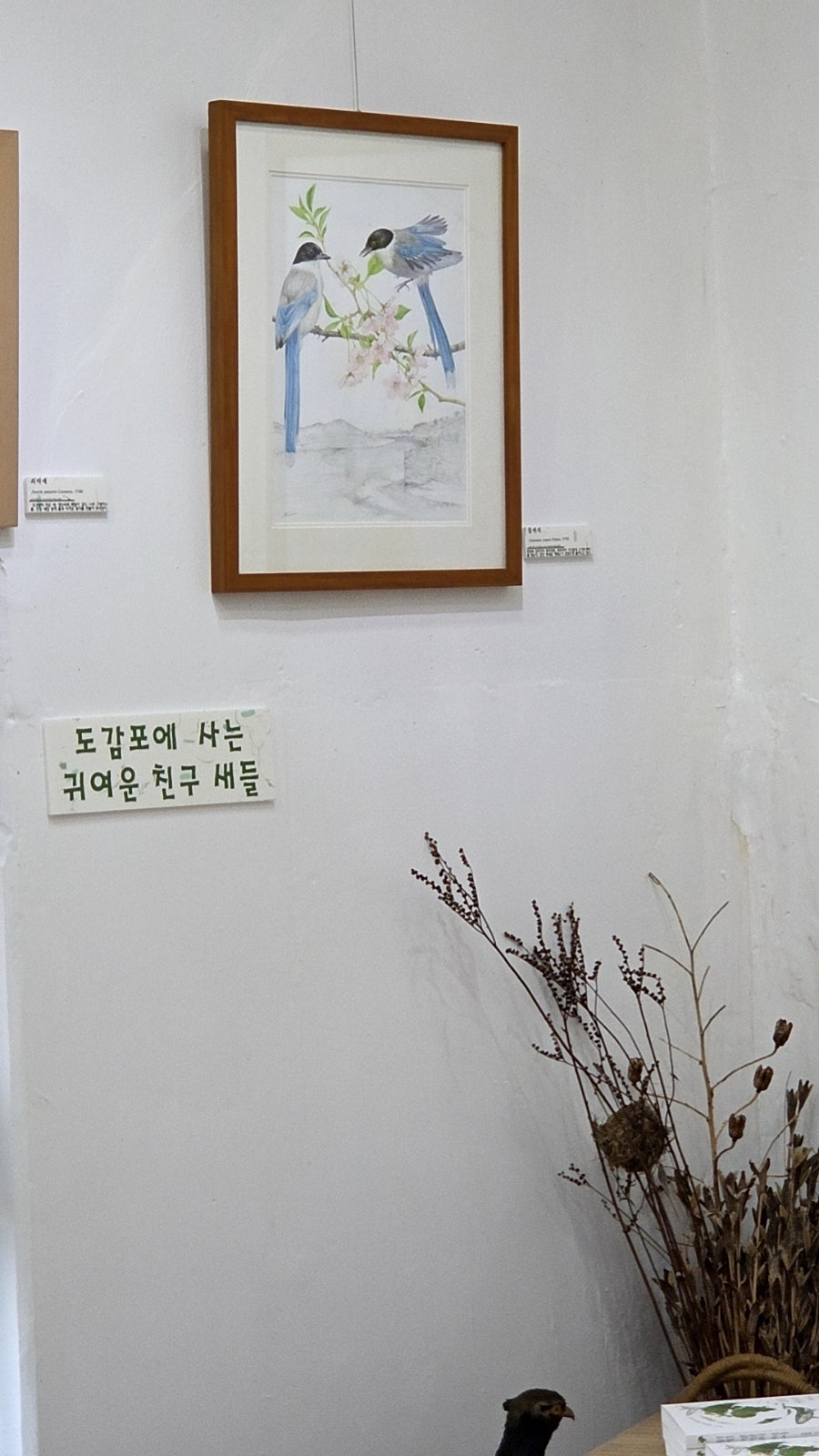 자연그림터 꽃나루 사진 6