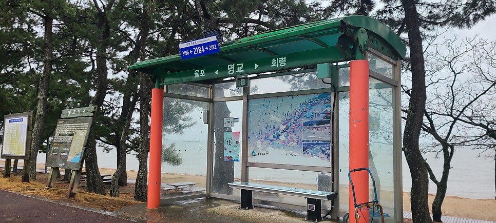 명교해수욕장 사진 2