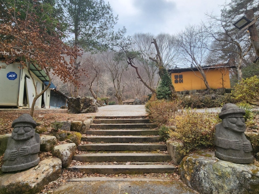 명품 송어 사진 3