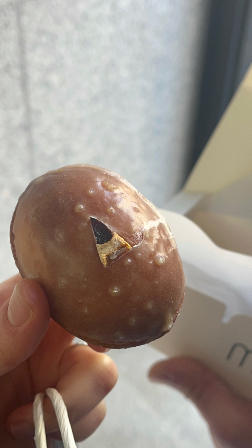 망디 사진 2