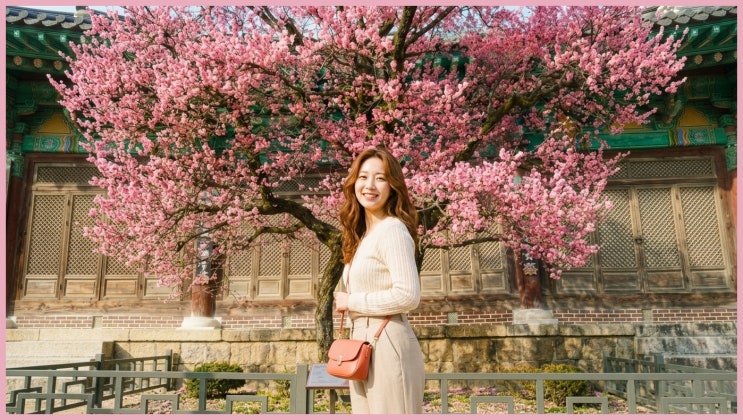  진짜 꽃 맞아요? 통도사 우담바라 위치 명당 6곳, 30분 줄 서서 찍어온 후기