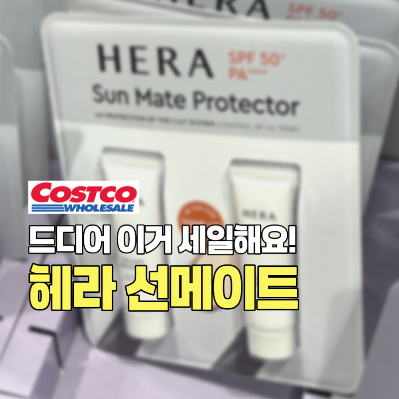 드디어 세일해요! 코스트코 헤라 선메이트 프로텍터 톤업 선크림 자외선차단제 할인 가격 피....