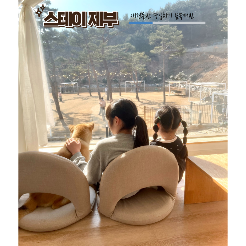 사진 9