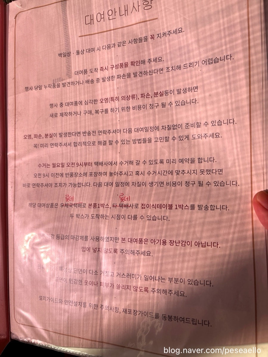 백연 사진 5