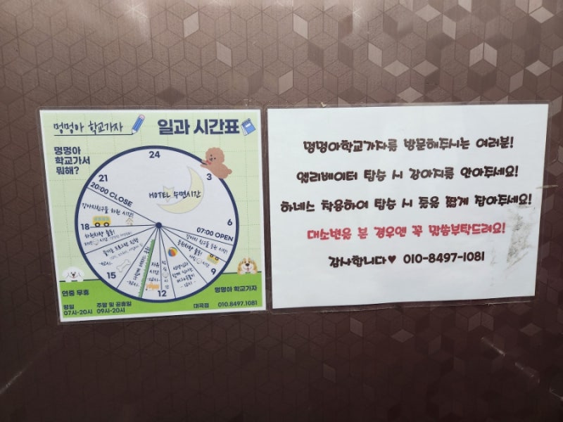 사진 2