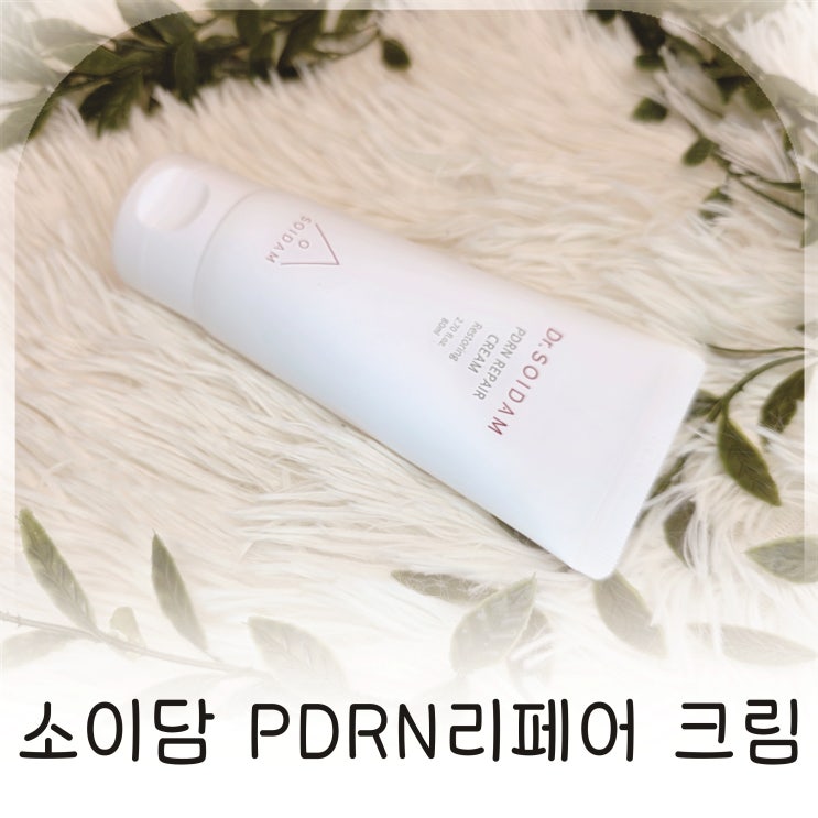  피부 진정 케어에 좋았던 SOIDAM PDRN리페어 크림 추천