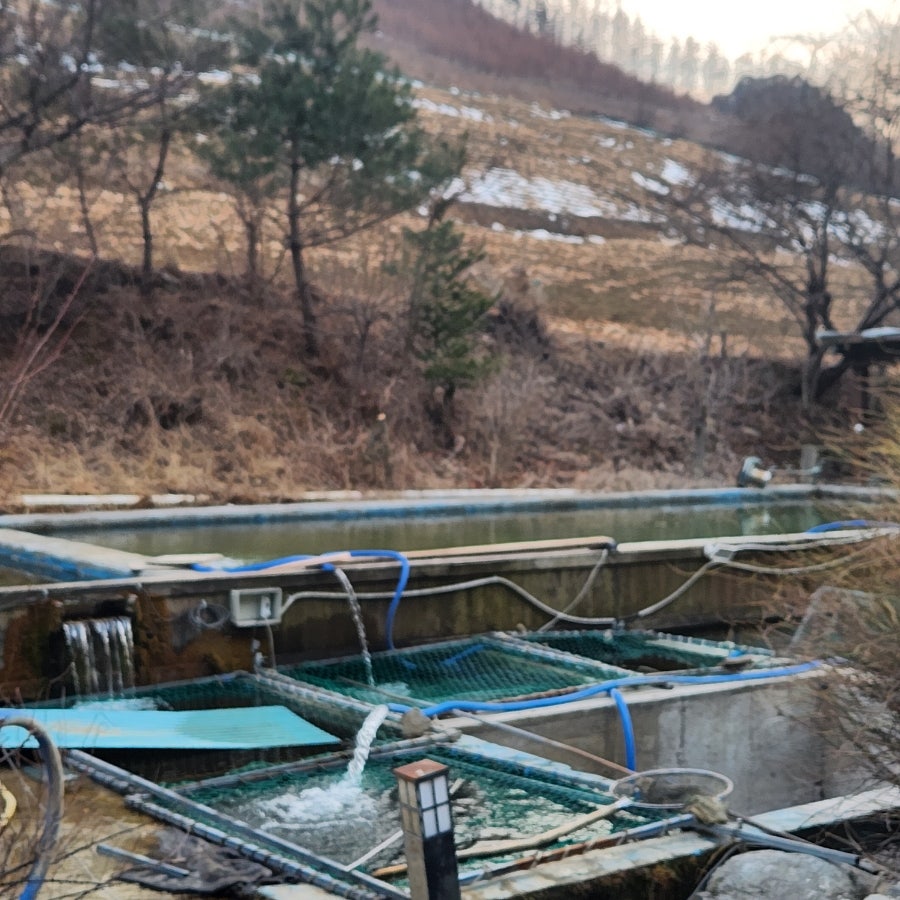고향산천 사진 4
