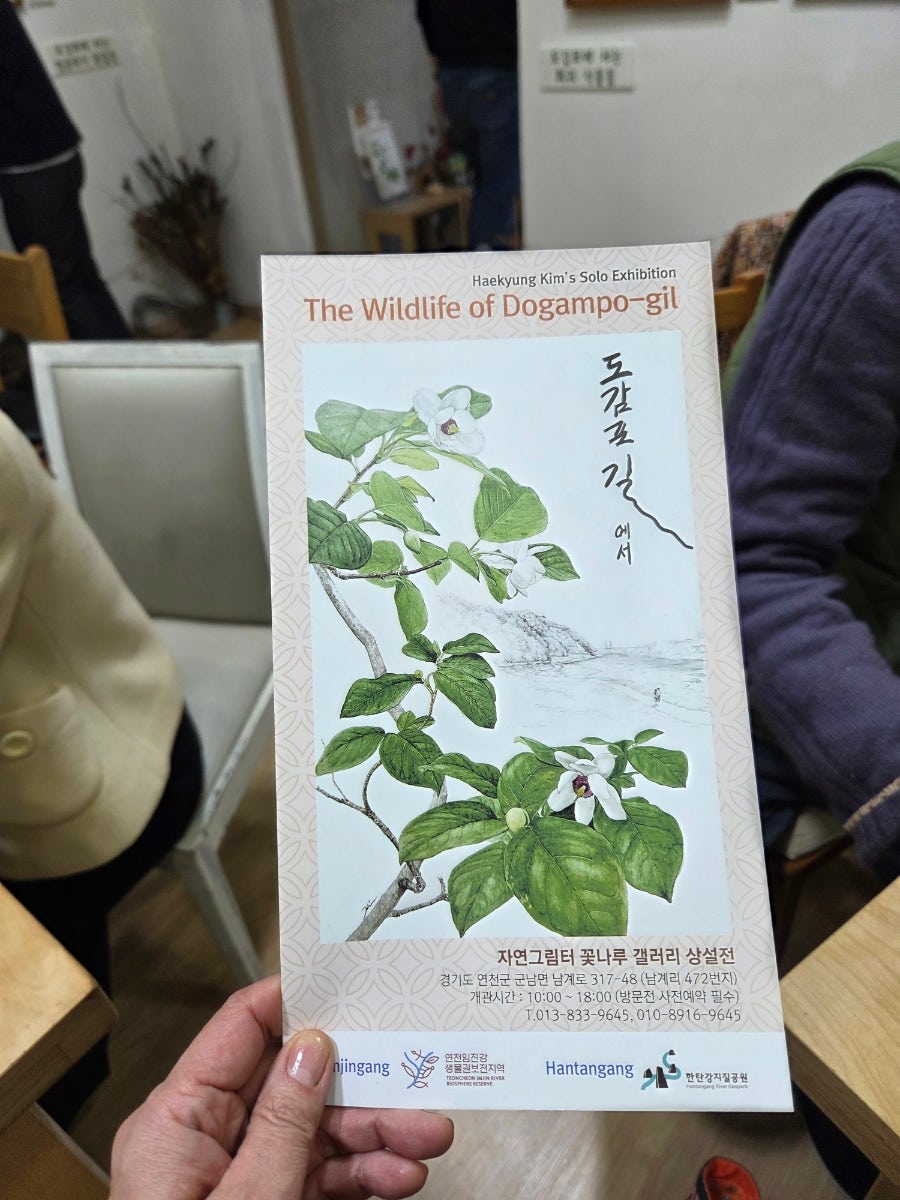 자연그림터 꽃나루 사진 3