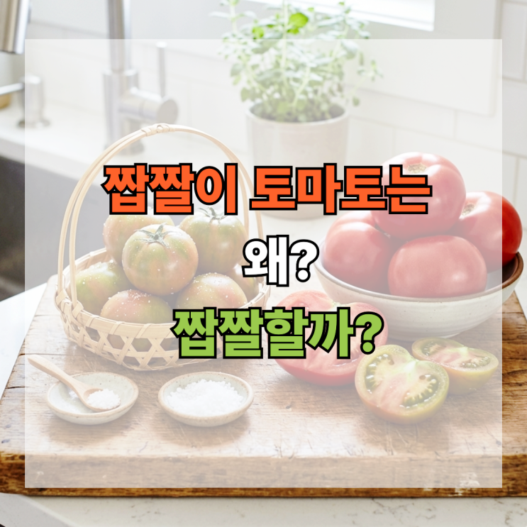  짭짤이토마토 왜 짭짤할까? 일반 토마토와 다른 이유