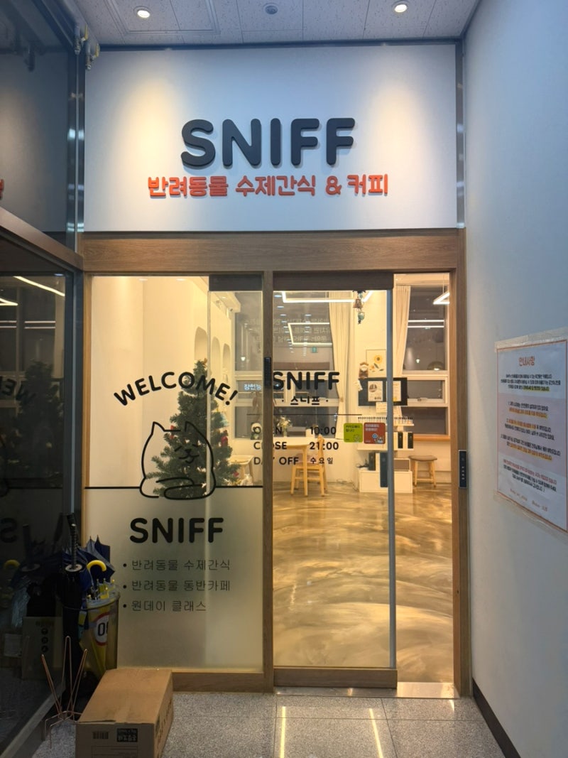 사진 2