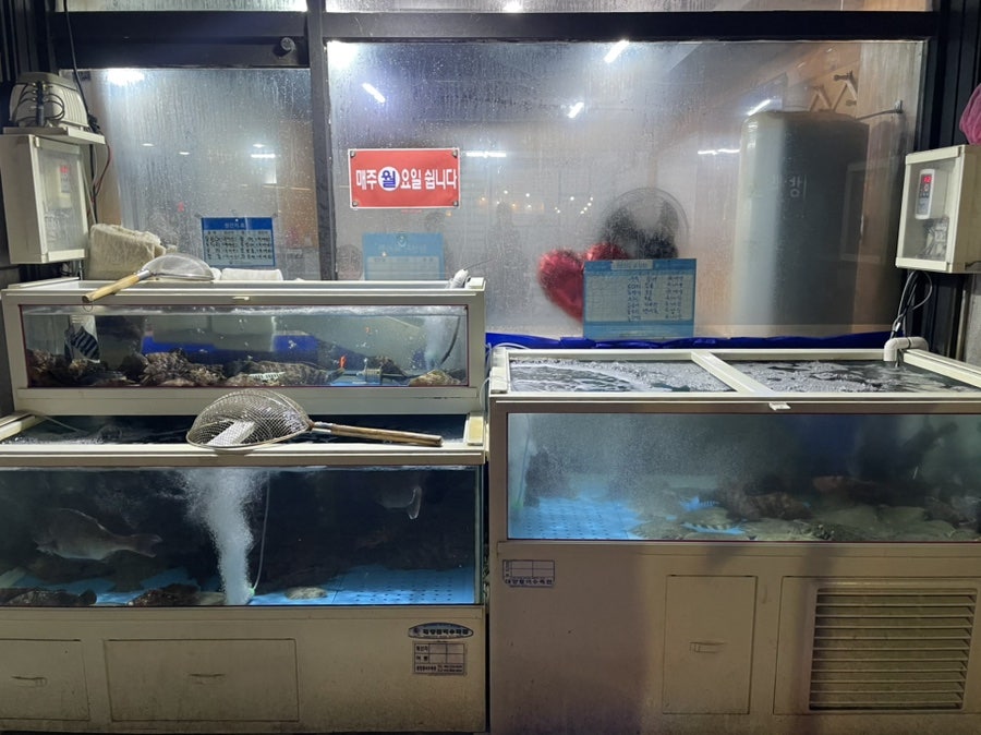 거문도수산 사진 3