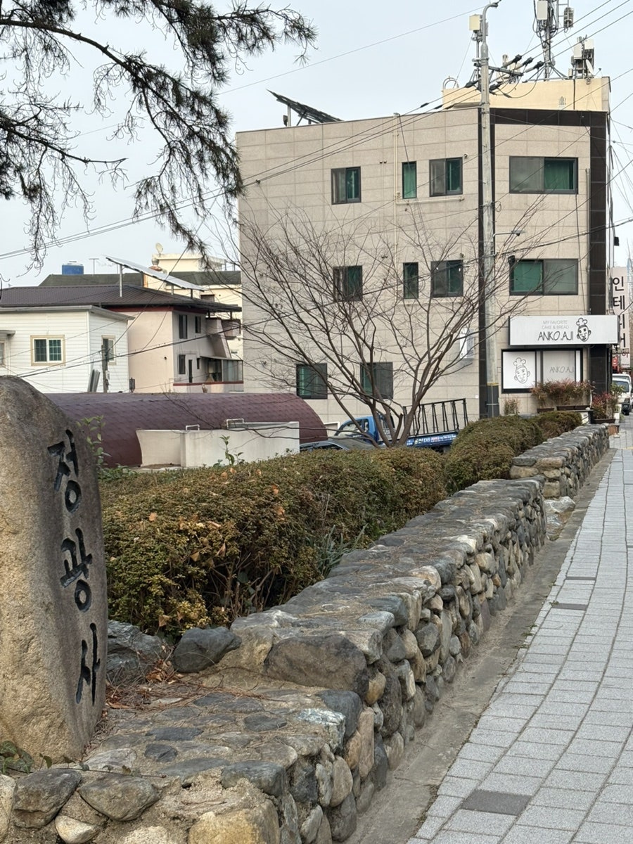 앙꼬아지 사진 6