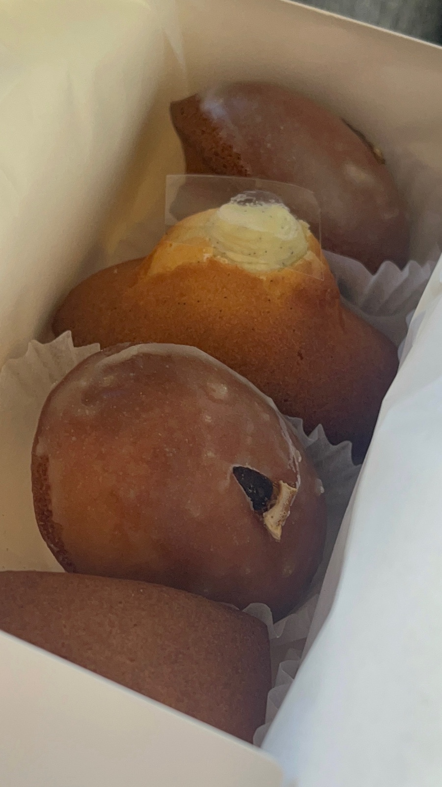 망디 사진 6