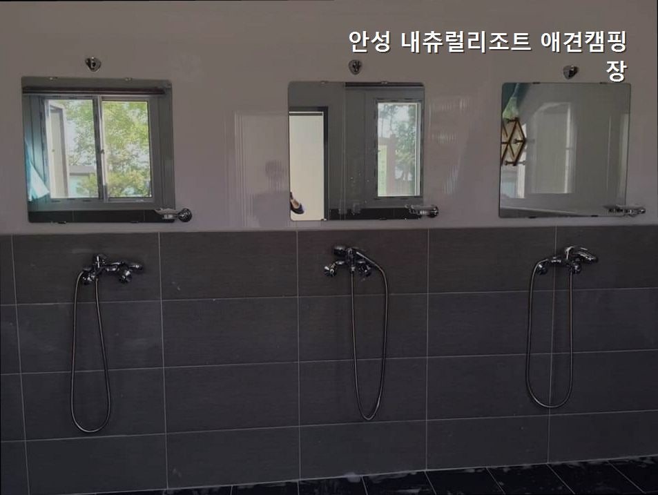 내츄럴리조트애견캠핑장 사진 2