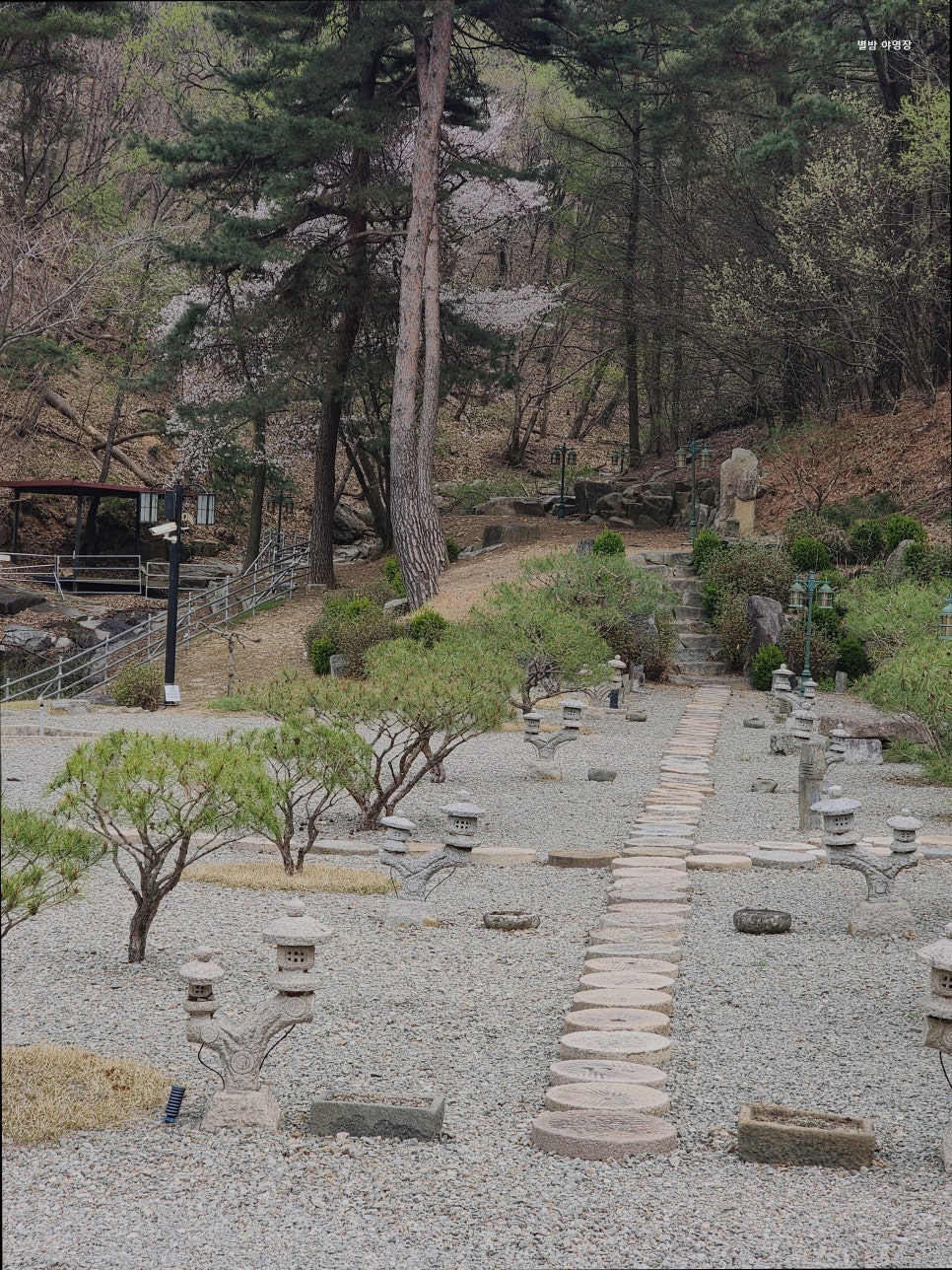 별밤 사진 1