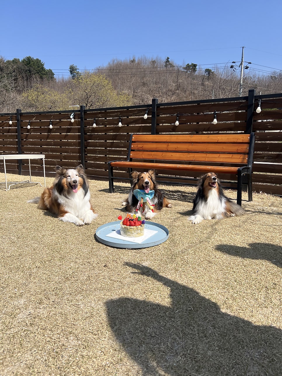 브릭야드 사진 6