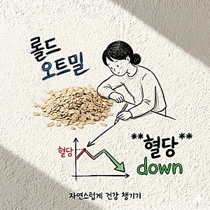 오트밀 혈당 효능 칼로리 먹는법 우유 퀵오트밀 롤드오트밀