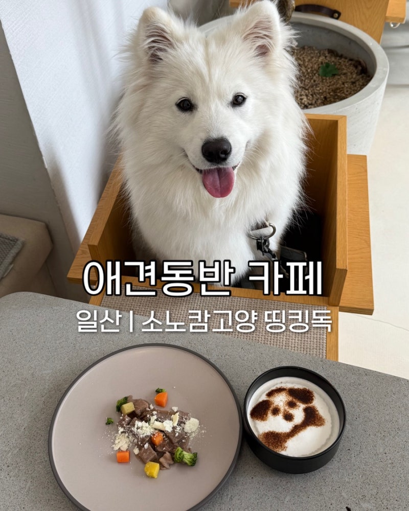 사진 2