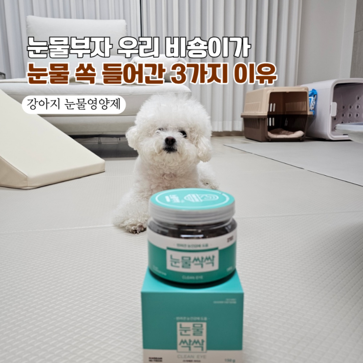  [강아지 눈물자국] 14일 만에 확 달라진 비결! 눈물싹싹 강아지눈물영양제 찐 후기 