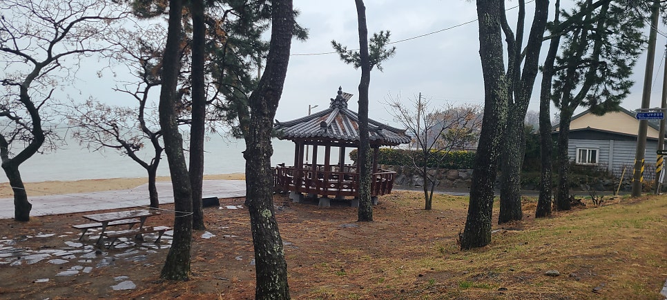 명교해수욕장 사진 5