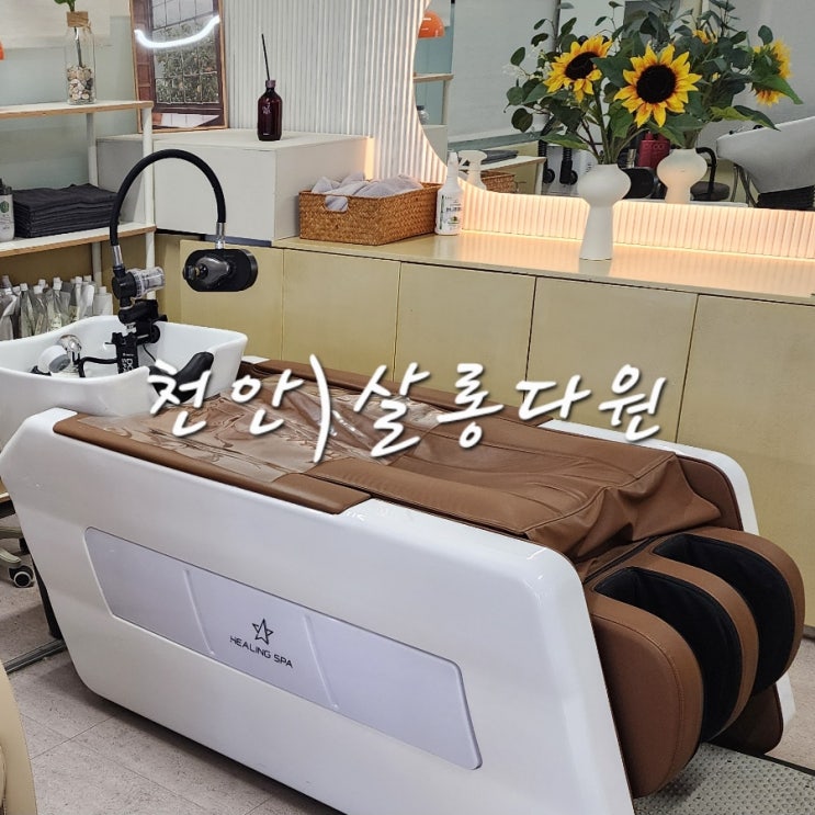  천안 쌍용동 미용실 살롱다원 가격정보 및 두피관리 과정
