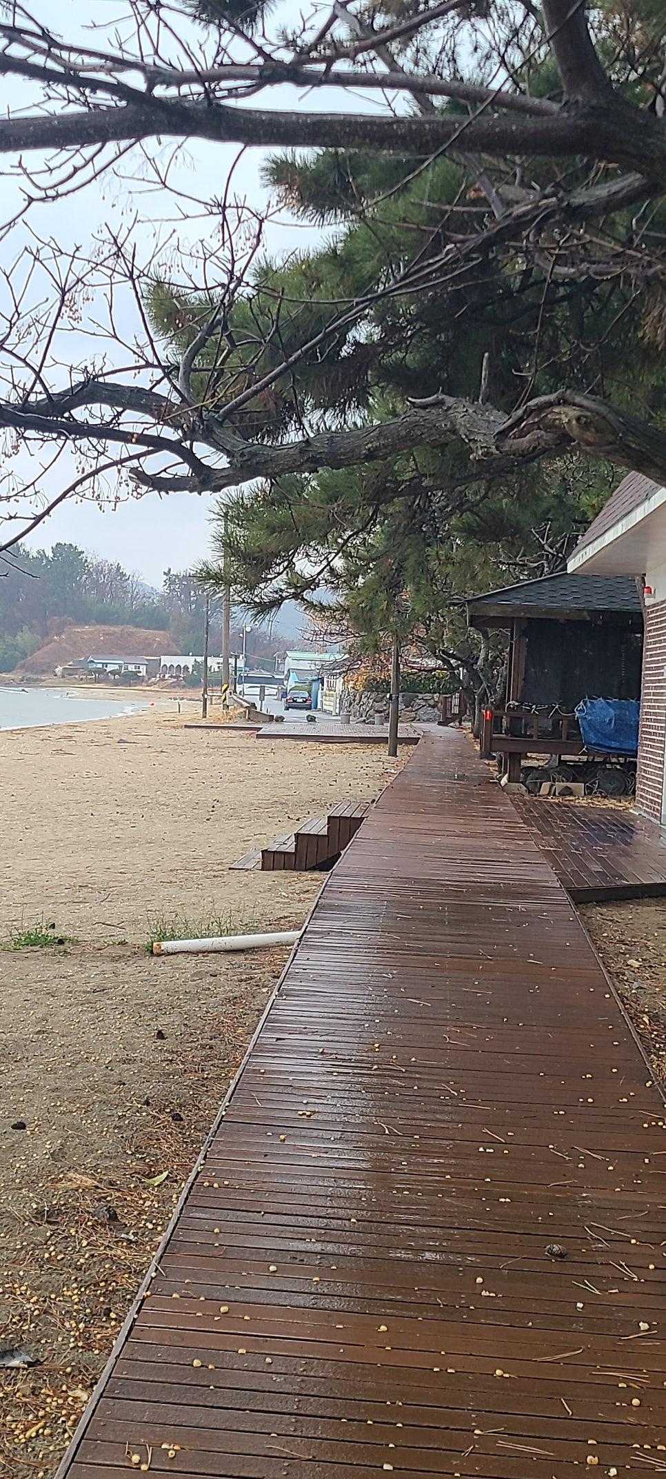 명교해수욕장 사진 6