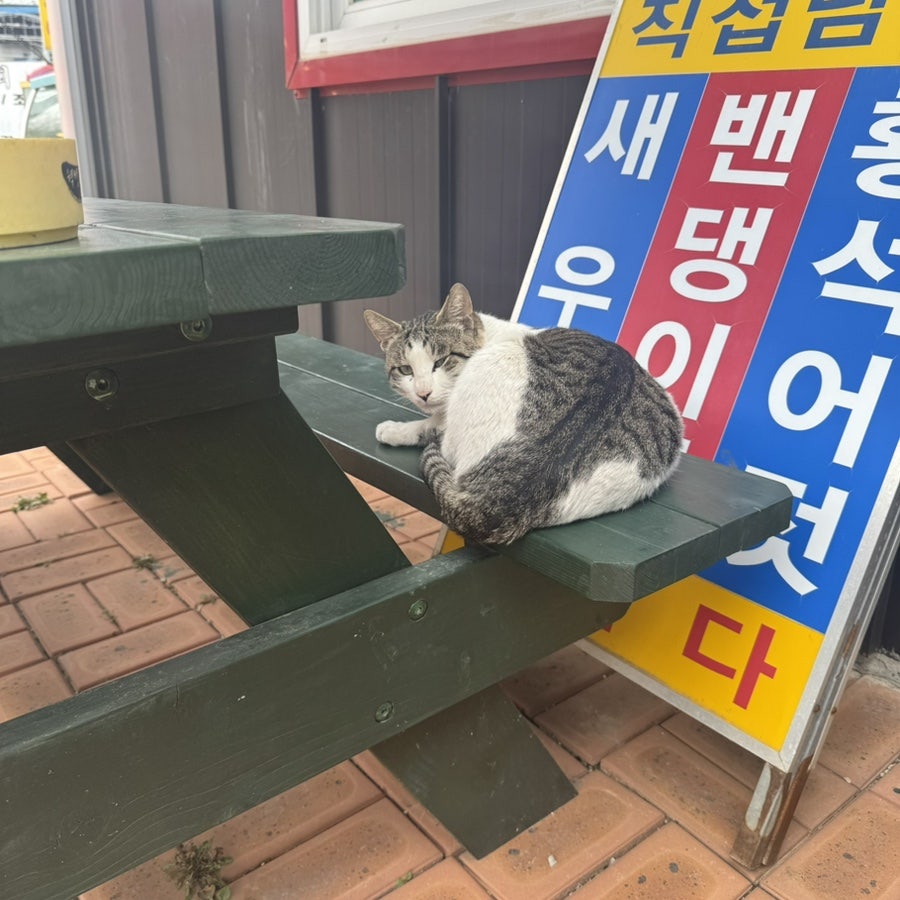 서산갯마을 사진 3