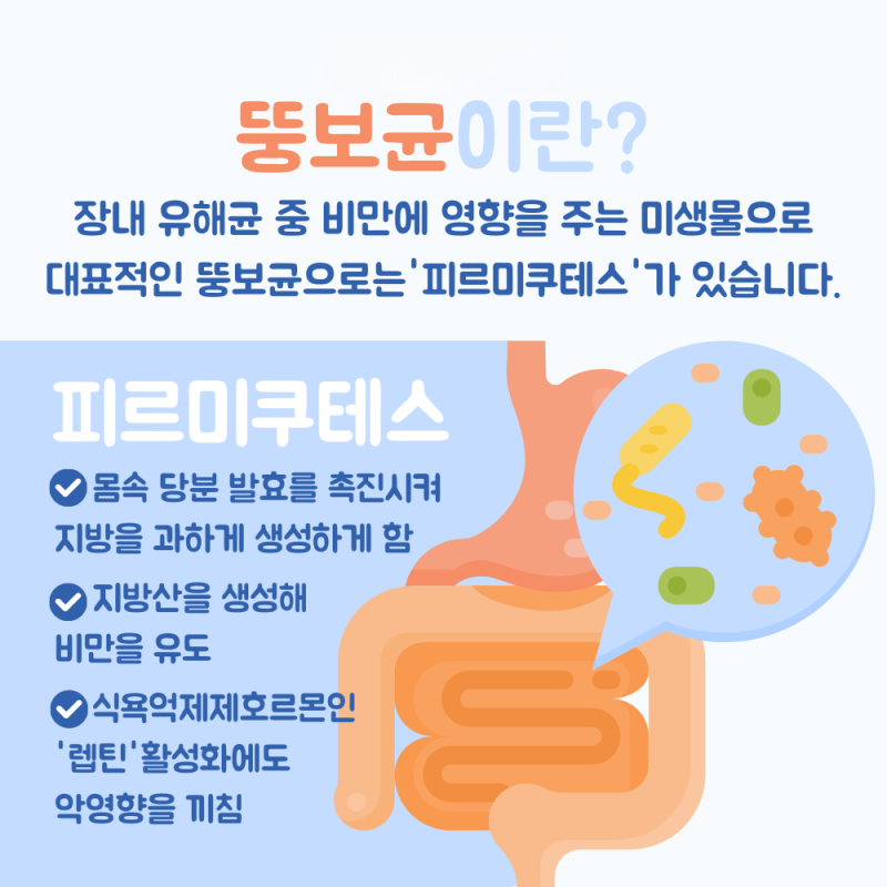 뚱보균 없애는 방법 신봉선 다이어트 유산균 추천