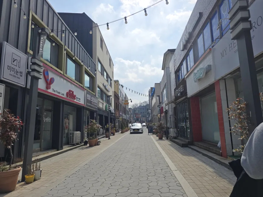옹심 사진 1