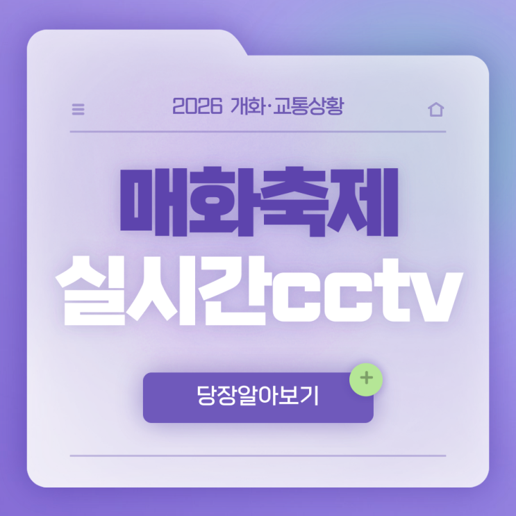  2026 광양 매화축제 실시간 CCTV로 개화·교통상황 확인하는 법 (2026 최신)